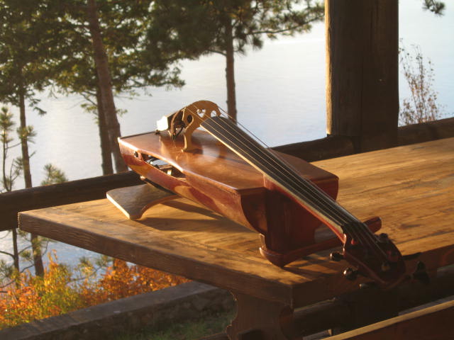 Lee Zimmerman - Cellist and Vocalist